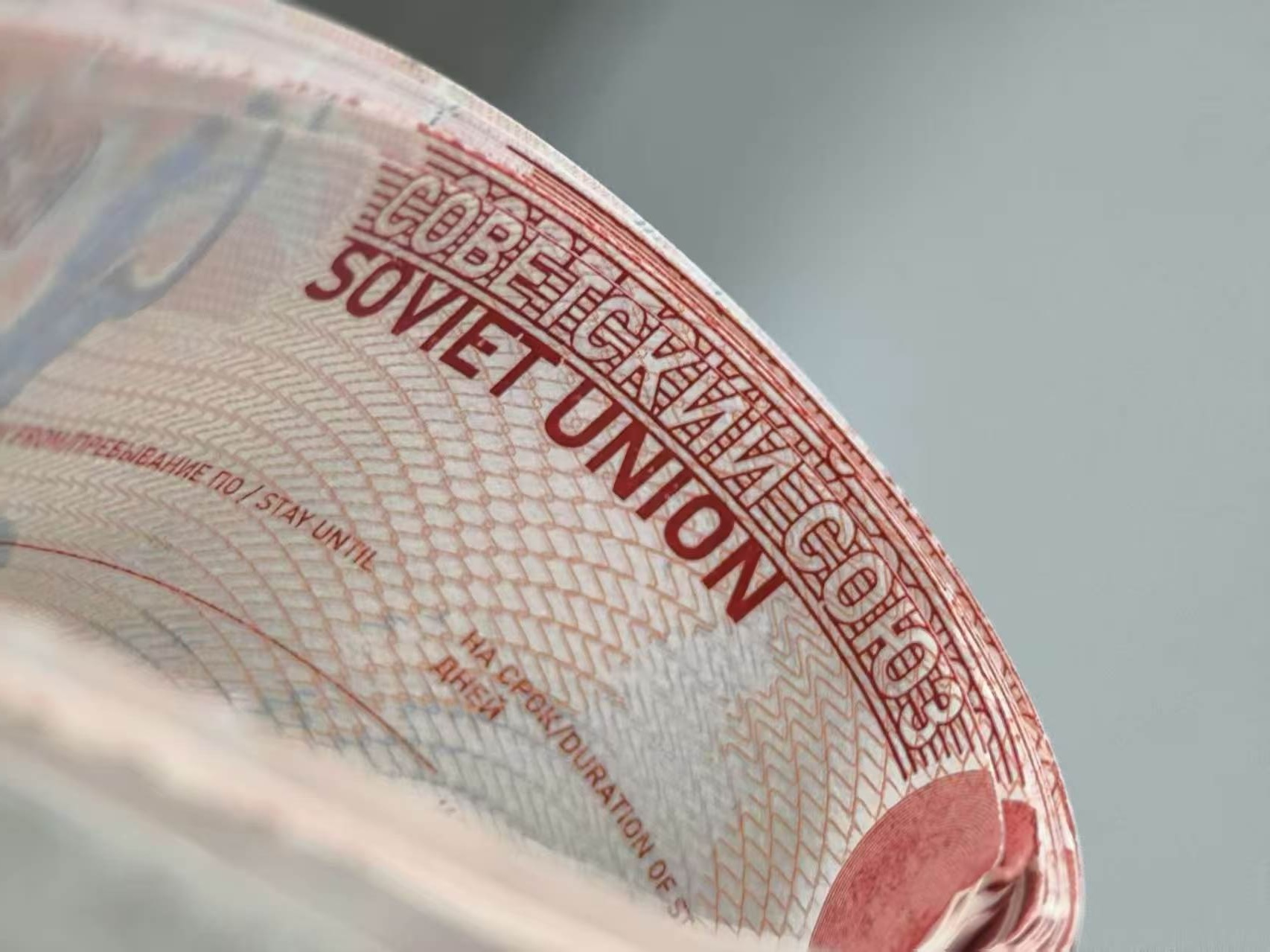Close-up of security paper with fine anti-counterfeit linework
